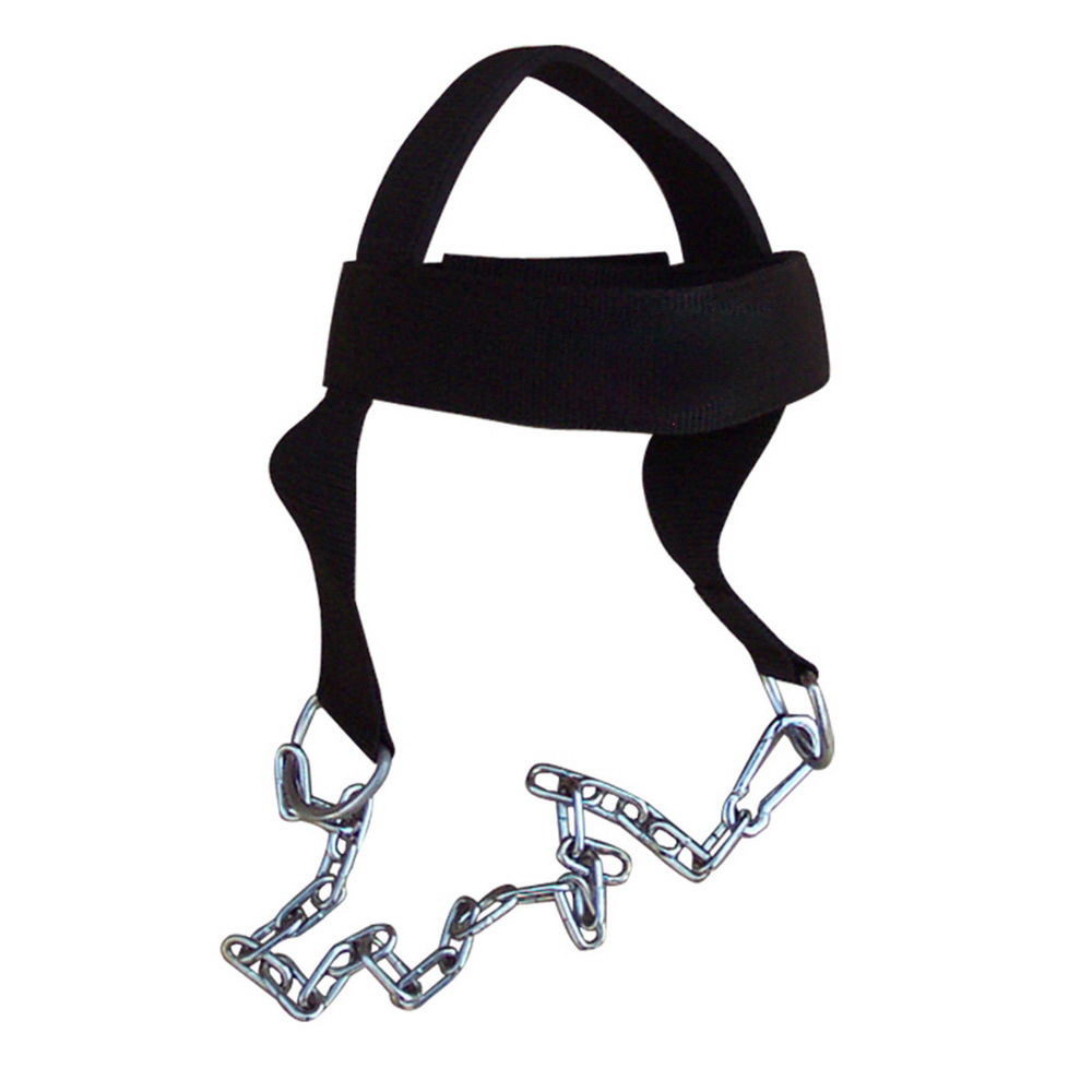 Head Harness