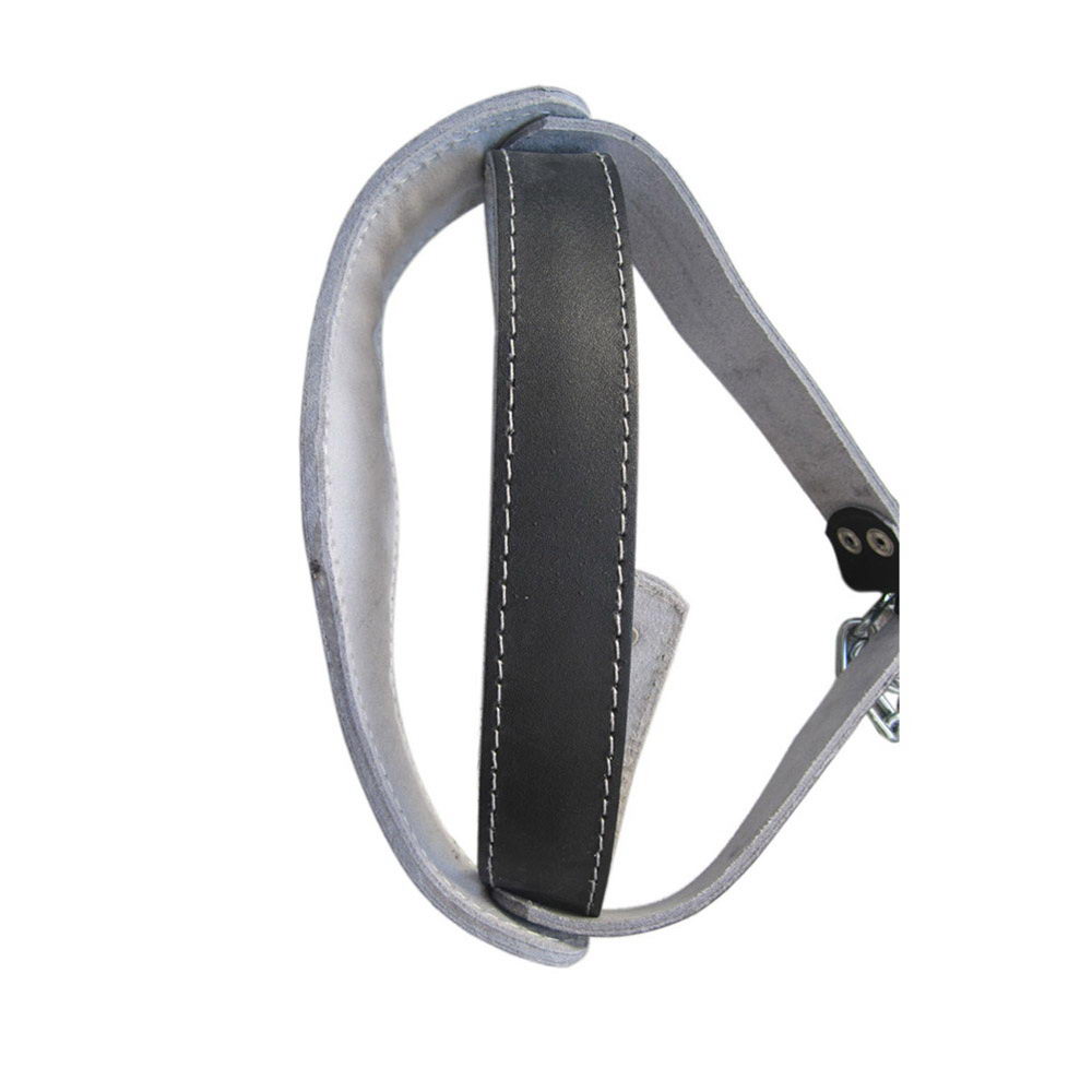 Head Harness